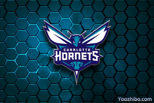 2019-2020赛季<a href=/lives/lanqiu/hornets/ target=_blank class=infotextkey>黄蜂</a>队队徽